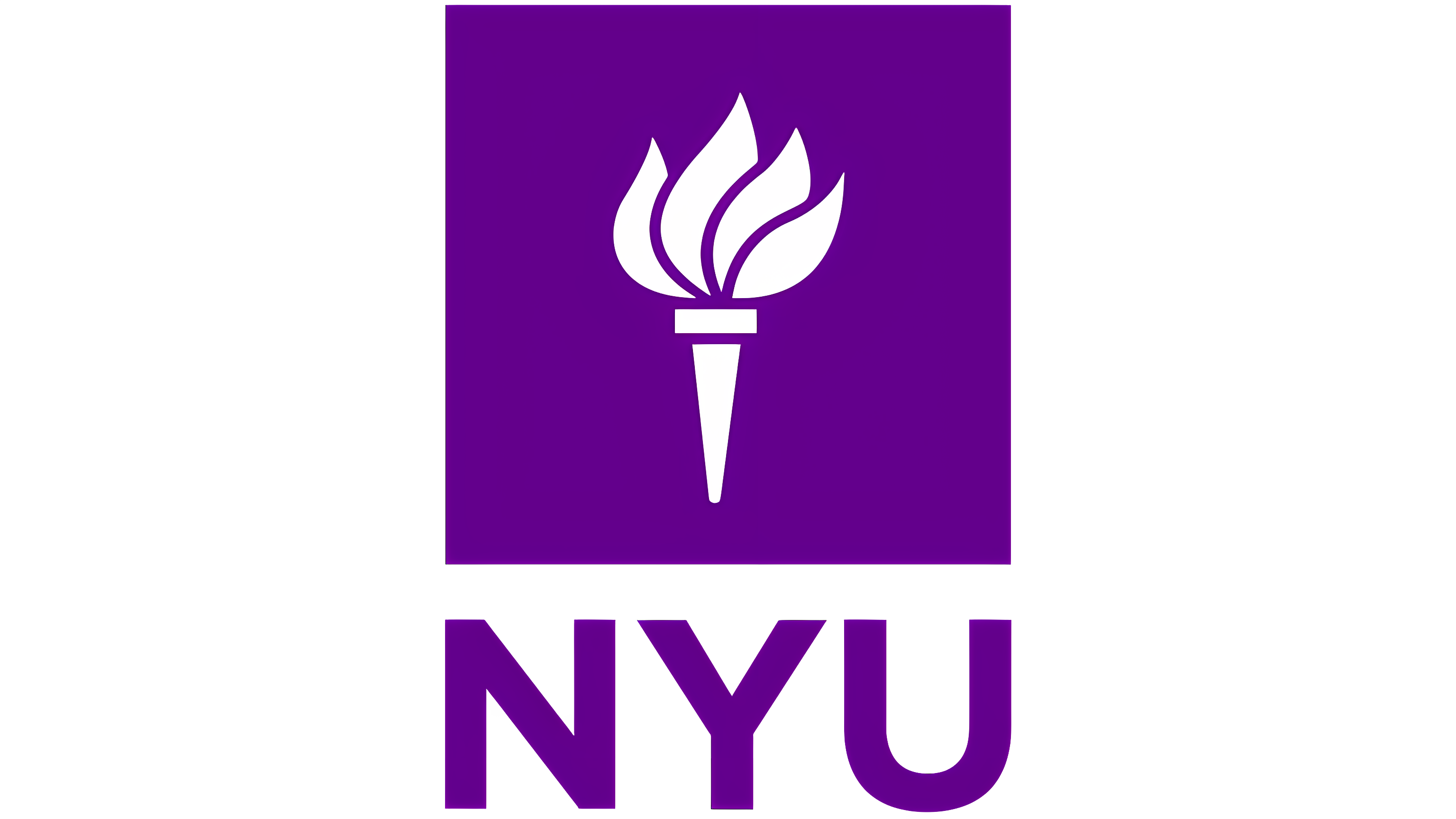 New York University